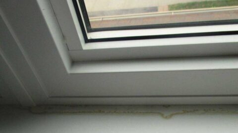 leaking window