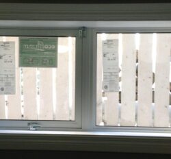 new windows in a basement