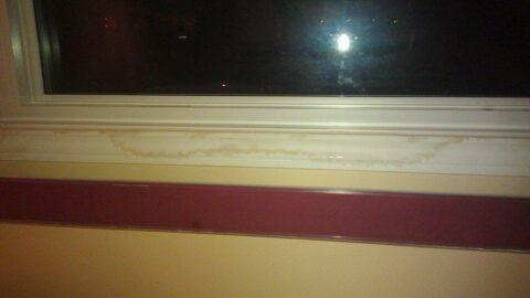 Leaking Windows When It Rains: What To Look Out For