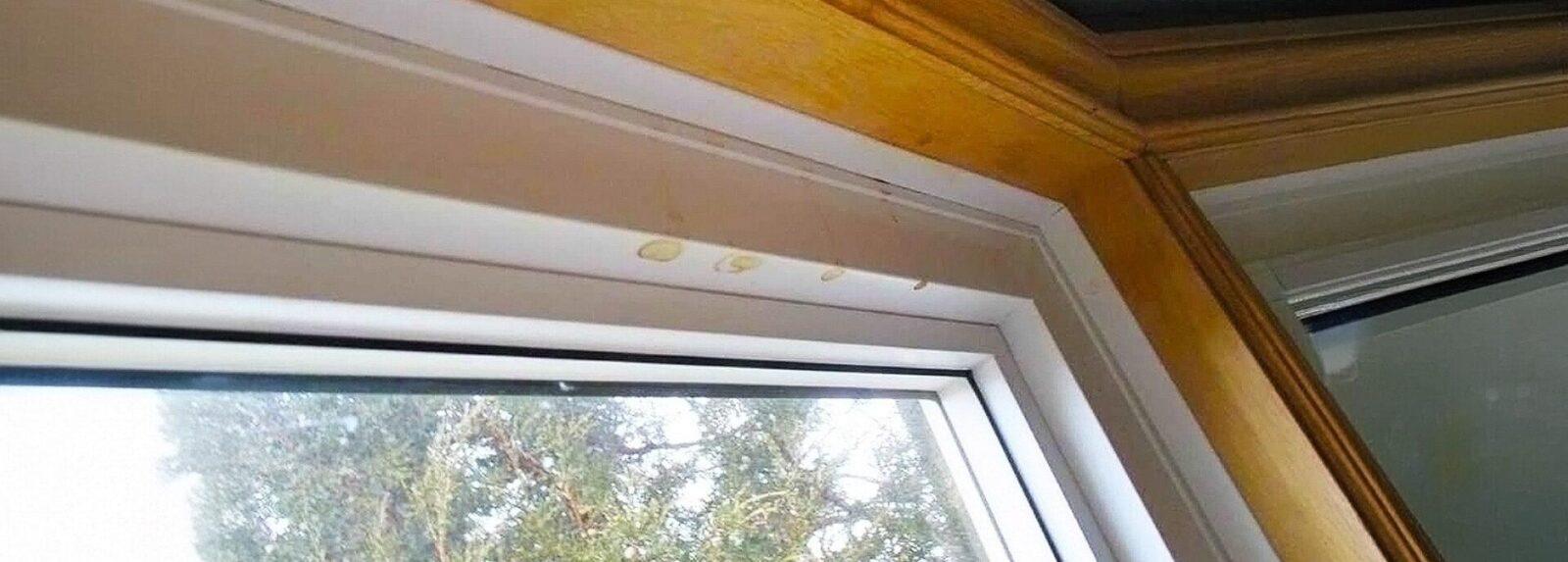 4 Window Leaks 2