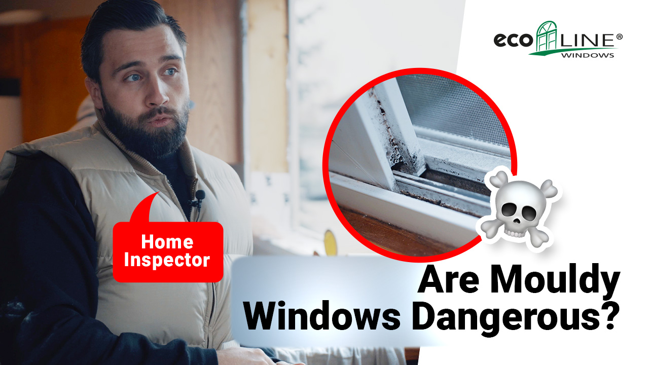 Are Mould Windows Dangerous