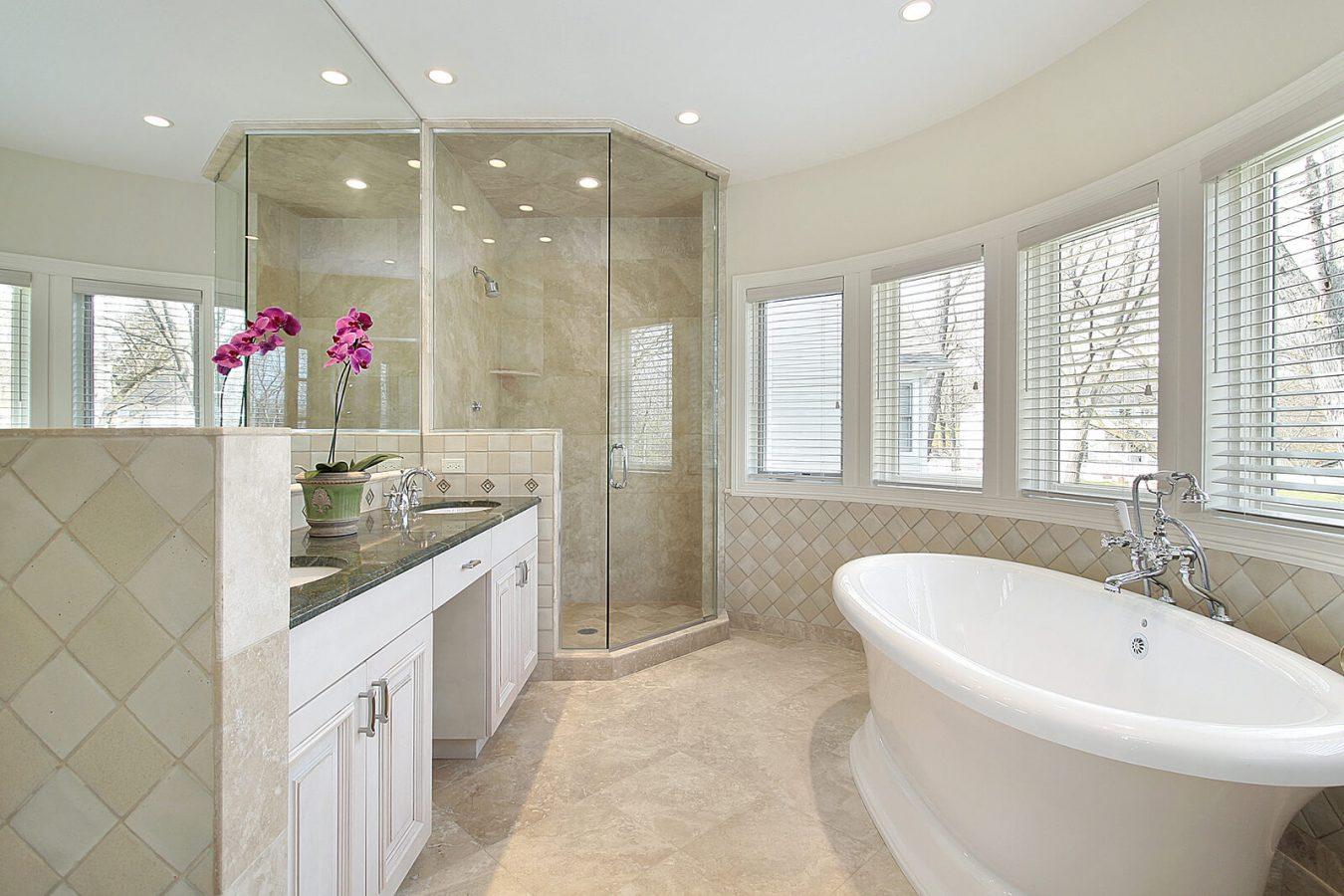 Luxury Master Bathroom blog