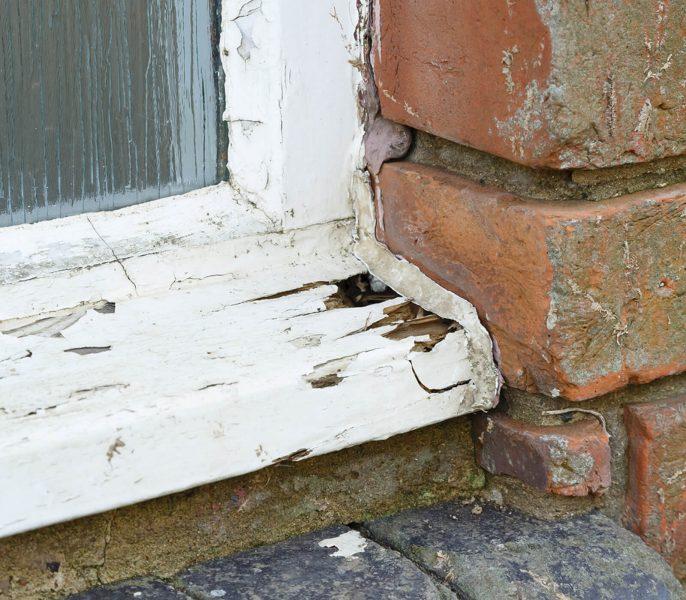 Rotting Wood Windows and Moldy Frames What You Should Know