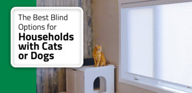 Thumbnail post: The Best Window Blinds and Shades for Cat and Dog Owners