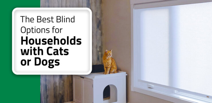 Thumbnail post: The Best Window Blinds and Shades for Cat and Dog Owners