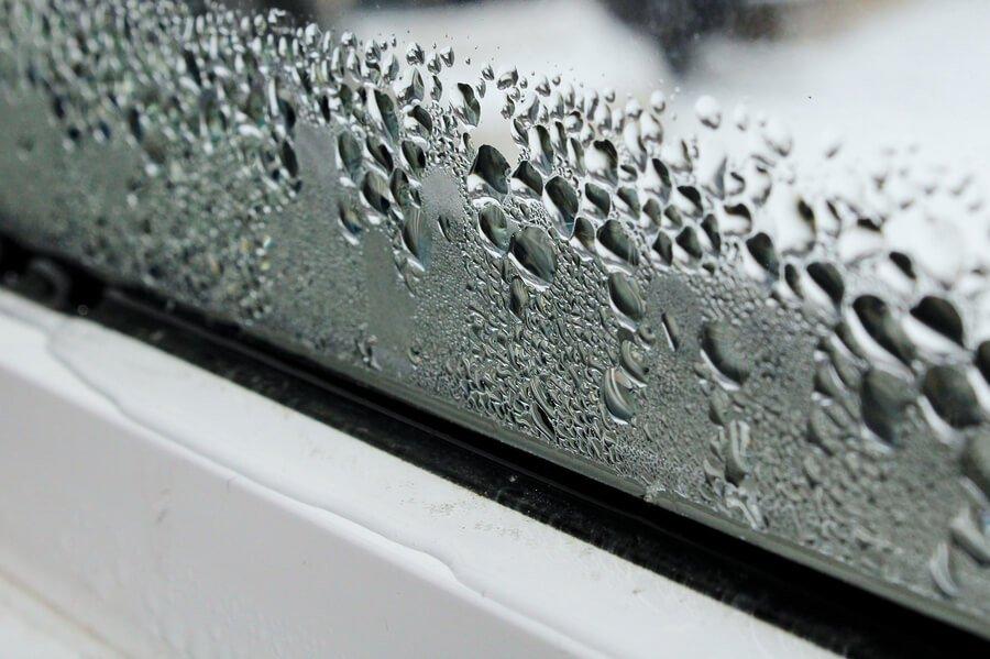 condensation on window