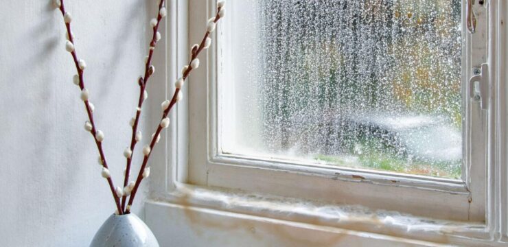 Thumbnail post Leaking Windows During Heavy Rain: What To Look Out For
