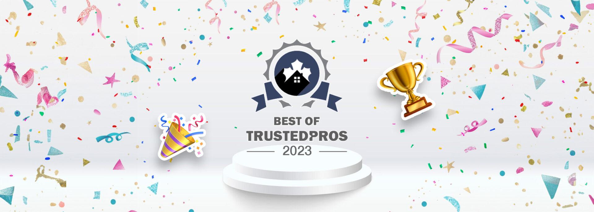 ecoline windows -trusted pros award winner 02