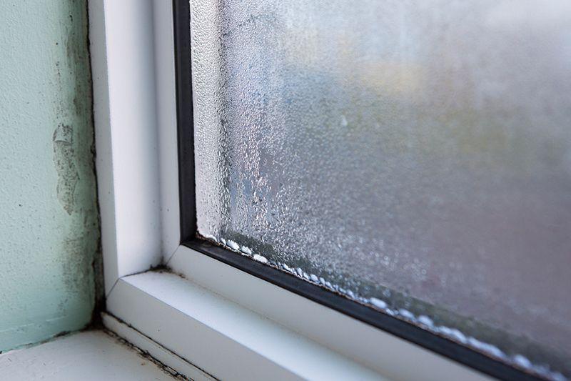 window condensation decay